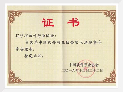 中国软协第七届理事会常务理事证书
